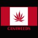 Tee shirt drapeau canada cannabis canaweed vert/noir