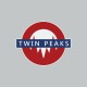 Tee shirt Twin Peaks Uground sign gris