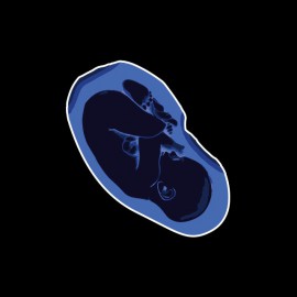 Tee shirt Blue Foetus noir