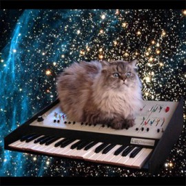 Tee shirt space cats, chats de l'espace noir
