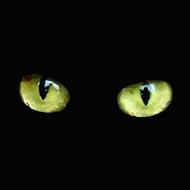 Tee shirt yeux de Chats noir