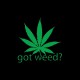 Tee shirt marijuana Got Weed ? noir