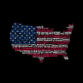 T shirt USA main cities flag fanart black