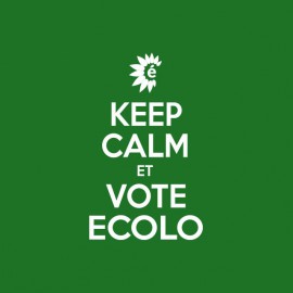 Tee shirt Keep Calm et vote écolo vert