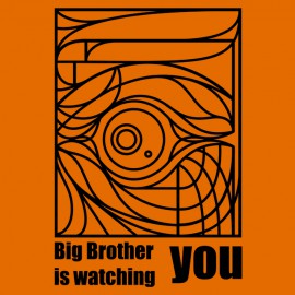 tee Shirt Big Brother orange