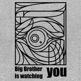 tee Shirt Big Brother grey