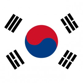 tee shirt korea flag blanc