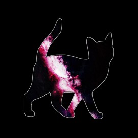 tee shirt space cat noir