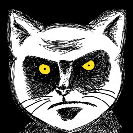 tee shirt cat funny black