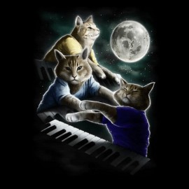 tee shirt keyboard cat black
