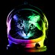 tee shirt astronaut cat noir