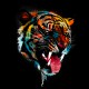 tee shirt Tiger design art noir