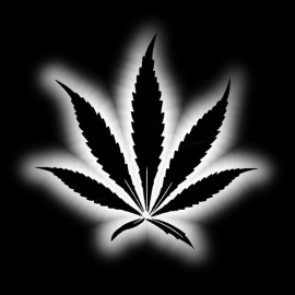 tee shirt marijuana noir