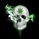 tee shirt marijuana skull noir