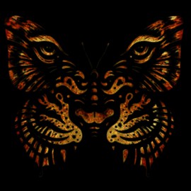 tee shirt butterfly tiger noir