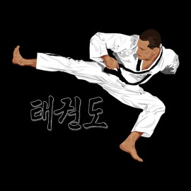 tee shirt taekwondo noir