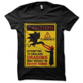 tee shirt slay dragon caution